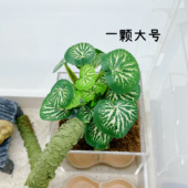 饰 仿真植物 水族鱼缸饲养箱装 饰树 两栖爬宠鸣虫造景摆设 迷你装