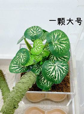 仿真植物迷你装饰树造景摆设