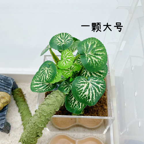 仿真植物迷你装饰树造景摆设