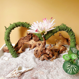 【仿真粗树藤直径1.5】寄居蟹小爬宠物饲养箱造景装饰躲避 攀爬架