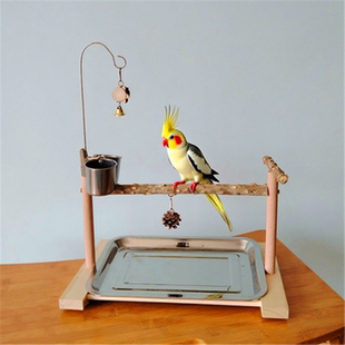 八哥鹦鹉站架实木花椒木站台玩具鸟架子玄凤小太阳和尚手养训练