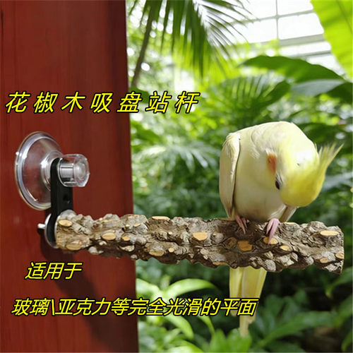 鹦鹉吸盘磨爪站杆花椒木站架
