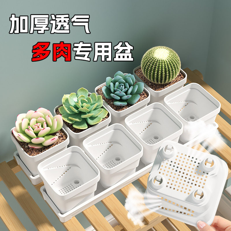 多肉专用透气花盆加厚方形可蓄水办公室家用桌面创意小花盆带托盘
