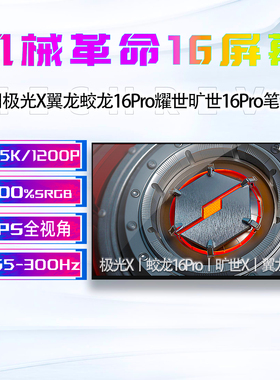 机械革命极光X翼龙蛟龙16K/s耀世旷世X G16 Pro/Super笔记本屏幕
