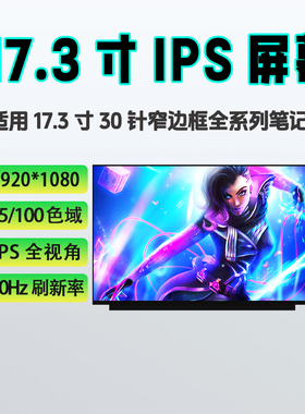 NV173FHM-N46/N49/NY1/N4C/N4F B173HAN04.2 N173HCE-E3A E3C屏幕