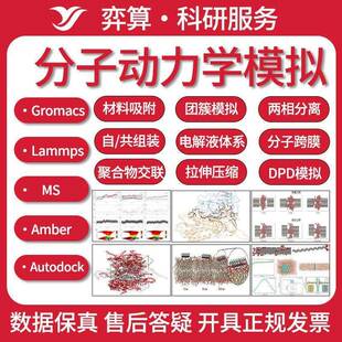 分子动力学模拟 Gromacs lammps amber 代算 分子对接 模拟计算