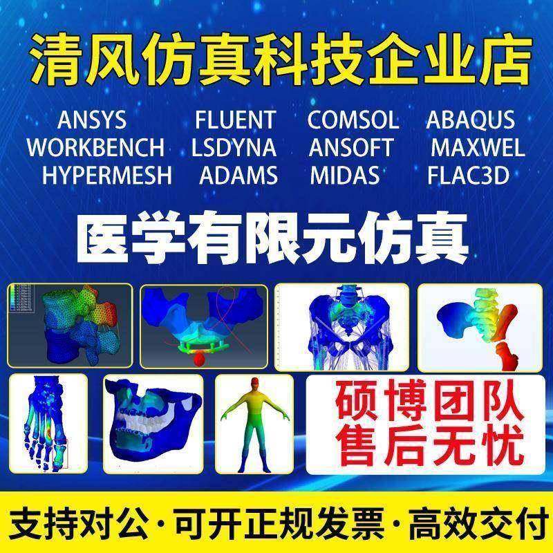 医学有限元口腔牙骨科生物力学颈腰椎脊柱彷真分析ct重建模型代做,商务/设计服务,2D/3D绘图,淘宝优惠券,粉丝福利购,淘宝优惠卷