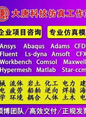 代做Ansys/Abaqus/Fluent/hypermesh/adams有限元分析lsdyna彷真