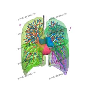 Mimics肺部CT医学影像三维重建DICOM影像STL NII文件三维可视化