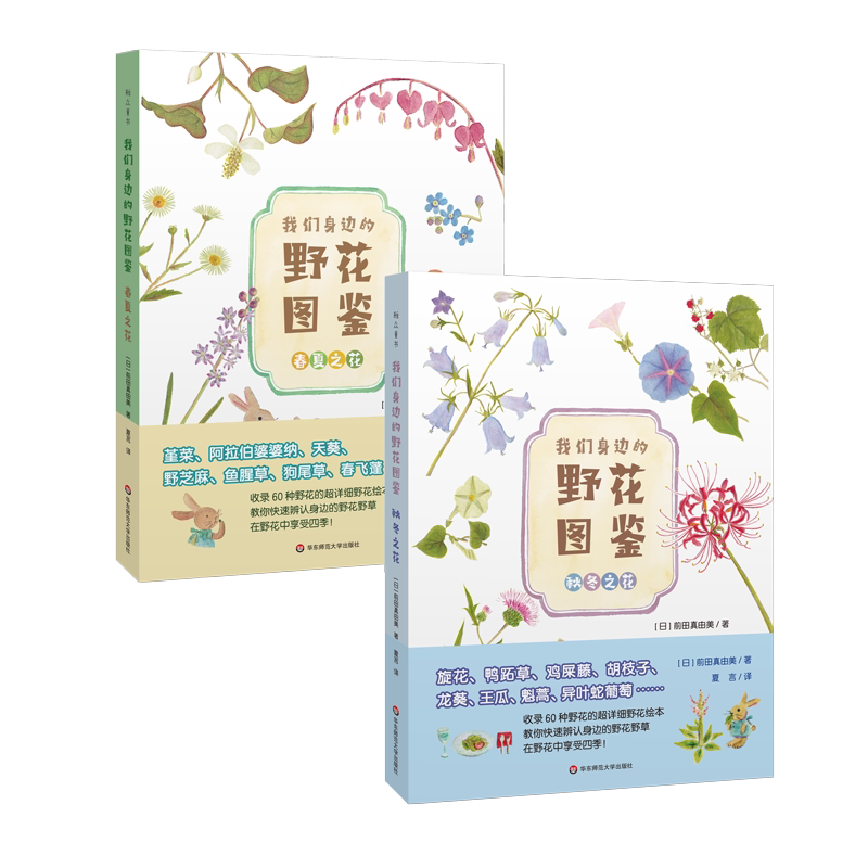 我们身边的野花图鉴 清新彩铅手绘图鉴 收录100余种身边常见的野花野草 知名科普博主刘夙审校 正版 华东师范大学出版社