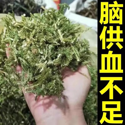 脑鸣头晕头昏缓解颈椎压迫供血不足专用头晕膏G