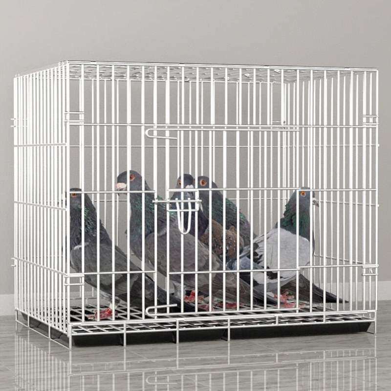 二层笼大鸽子笼空间室外专用大特大养殖子!大全鸽子笼鸟笼不锈钢