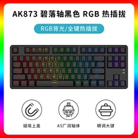 AK873 Bi Luo Shaft Black RGB Hot Plugure
