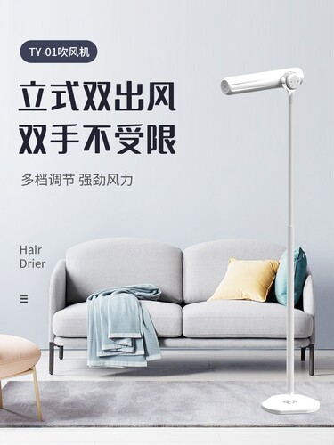 遥控电吹风国标220v（110V）