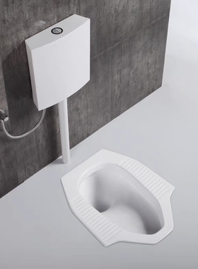 三角形蹲便器带存水弯隔臭大便盆无弯蹲坑前排后排水不发黄不堵塞