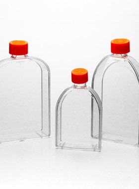 430639 25cm细胞培养瓶，透气盖，TC处理43064175cm 431080 175cm