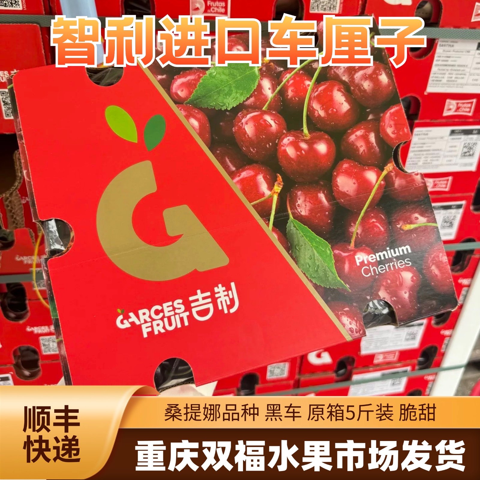 吉制大G桑提娜3JD智利车厘子