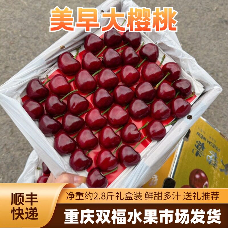 顺丰大连美早大樱桃精品礼盒装净重约2.8斤当季水果推荐送礼双福
