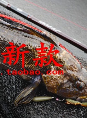 HRFAIR根钓竿DAIWA/达亿瓦