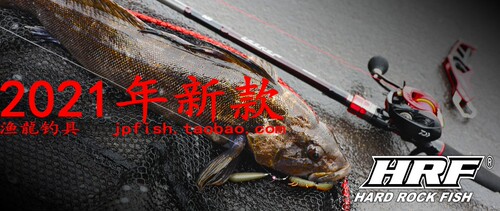 HRFAIR根钓竿DAIWA/达亿瓦