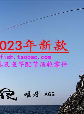 23款Daiwa 銀狼唯牙 AGS 00号-53 BIGONE 53 競技 08-50SMT矶钓竿