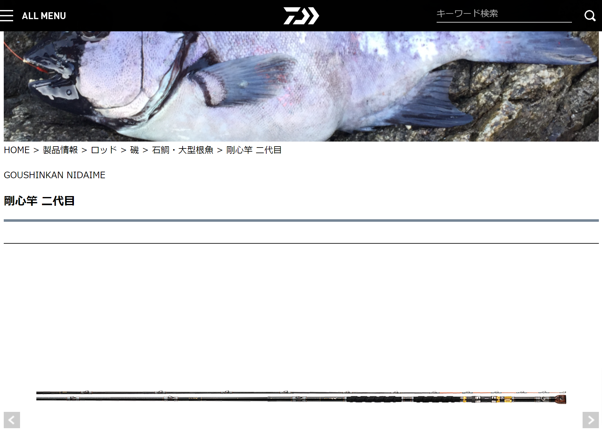 Daiwa剛心竿 二代目  武蔵504 小次郎574E并继大型石鯛根魚矶钓杆