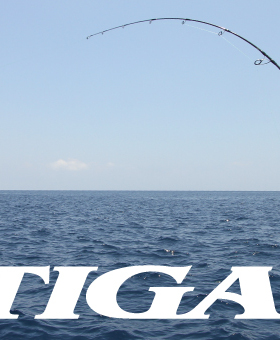 Daiwa SALTIGA J61LS J63MLS J62MS J61MHS J60HSJ独节直柄铁板竿