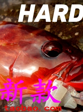 Daiwa 达亿瓦 HARDROCK X 86M 90MH 83MB 86MHB 73LB 根钓路亚竿