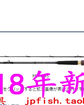 Daiwa达亿瓦 極鋭 HIRAME EX AGS MH-245 MH-270船钓比目鱼路亚竿