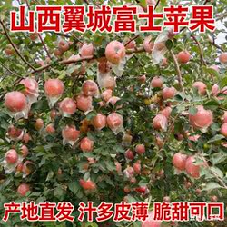 山西临汾翼城丑苹果，轻微瑕疵，新鲜，多汁，脆甜，糖心，应季。