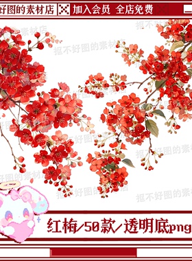 梅花红色桃花花朵花枝红梅透明底png图片饭圈美工设计素材水印