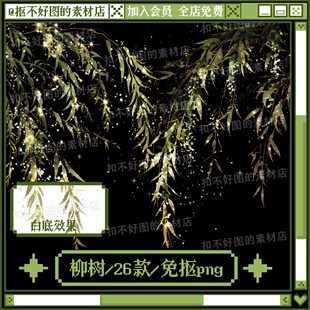 柳树柳枝枝叶树叶植物树枝免抠png图片可商原创美工设计海报