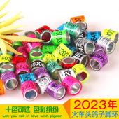 2026年不带证统一环火车头信鸽足环信鸽用品用具鸽子脚环识别鸽环