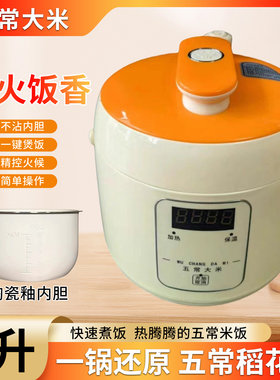 五常大米智能电压力锅湘菜馆专用2L全自动电高压锅1-3人电饭煲