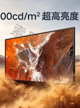 索尼电视机显示器纯净版彩电65英寸家用商用液晶显示屏 超高清4K HDR 智能无线投屏 65英寸 FW-65BZ30P