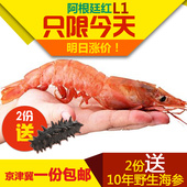 阿根廷红虾L1速冻海鲜新鲜新货大虾海捕对虾2kg
