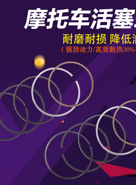 摩托车适用 KAWASAK 川崎 德国兵 GPZ250 GPX250 ZZR250 活塞环