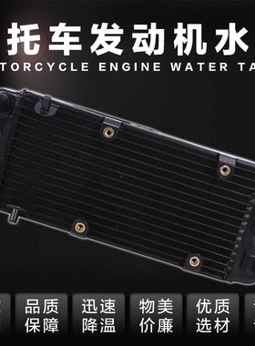 适用本田 配件 STEED 铁马400 铁马600 水箱总成 散热器 水冷器
