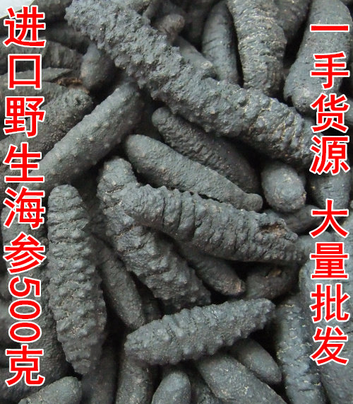 米刺参雪参黑参进口野生土耳其欧洲加拿大北极冰岛南美海参500克