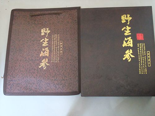 野生刺参淡干海参土耳其北极参南