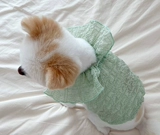 Лето Тонди питомец Тедди бин бен бен Бербон Бомейский кот кот снежный щенок маленький летний собачий одежда