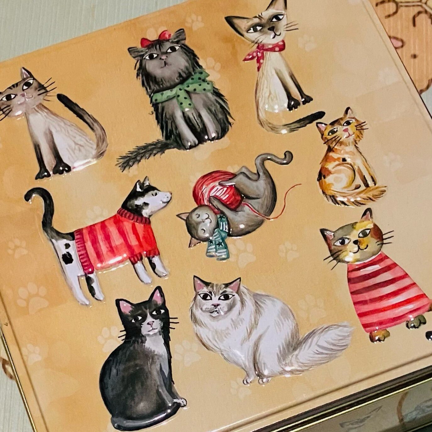 猫日 格兰马威尔斯 饼干铁罐铁盒  300g日本Kaldi 满200包直邮