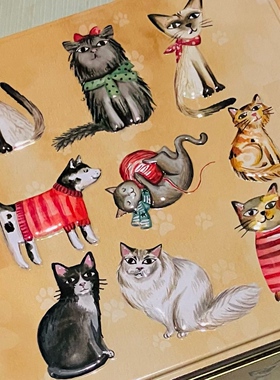 猫日 格兰马威尔斯 饼干铁罐铁盒  300g日本Kaldi 满200包直邮