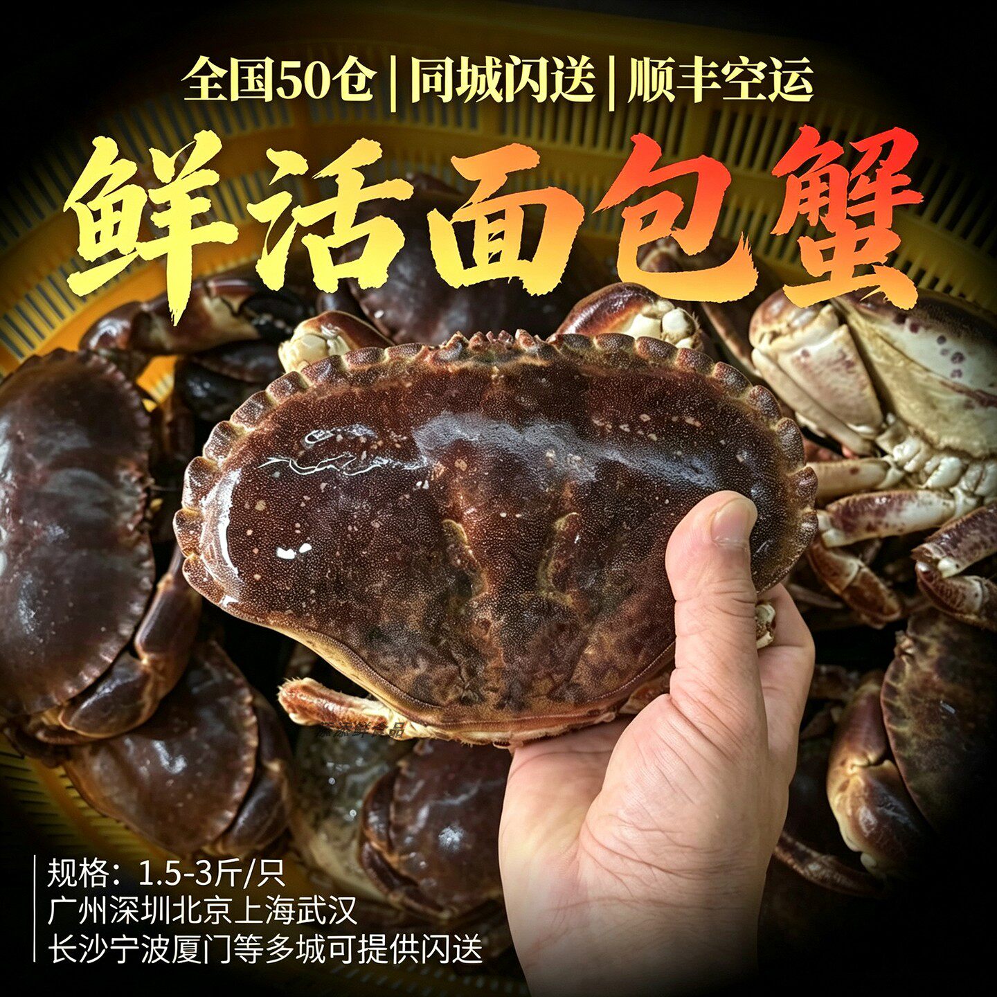 【全国多仓发货】鲜活面包蟹英格兰海鲜帝王珍宝梭子母膏黄金蟹