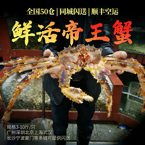 鲜活帝王蟹俄罗斯长脚皇帝蟹10斤