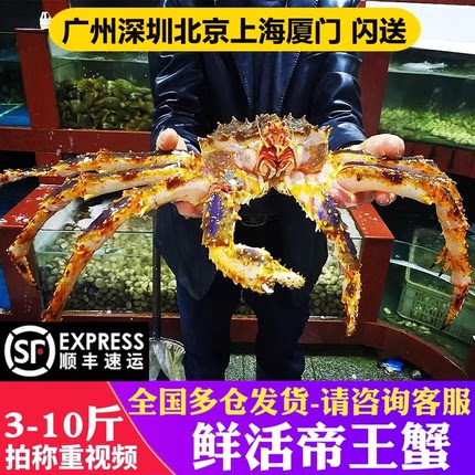 【全国多仓发货】鲜活帝王蟹海鲜特超大10斤皇帝长脚鳕俄罗斯螃蟹