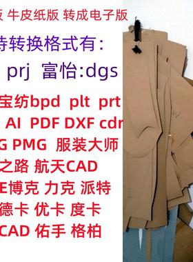 服装纸板读图仪转换成电子版ET prj 富怡dgs 博克 AI PDF DWG