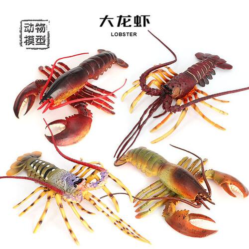 仿真实心海洋生物海底动物超大波士顿澳洲龙虾模型儿童玩具