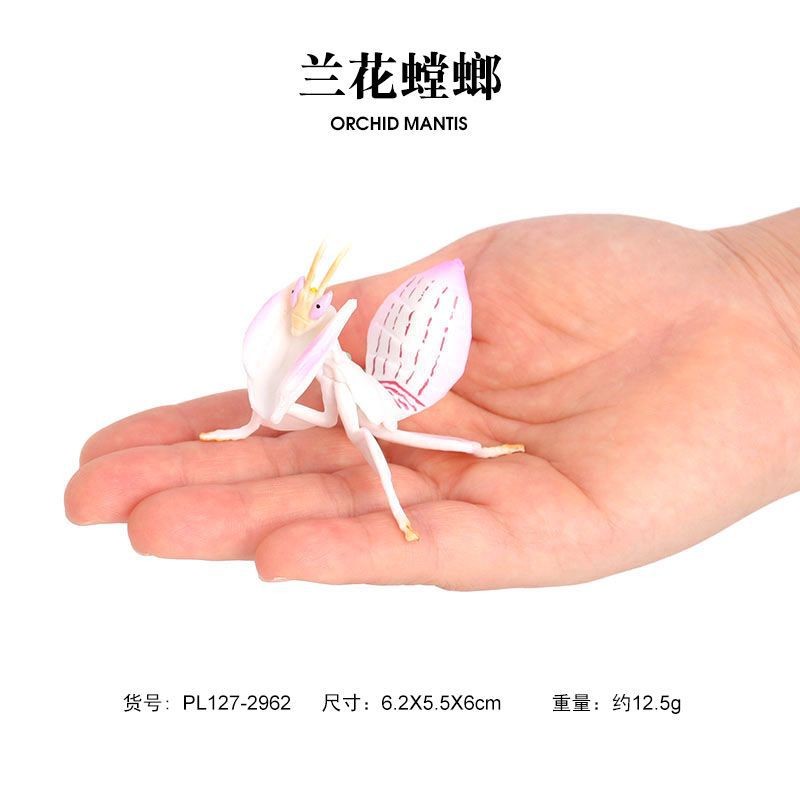 仿真昆虫动物模型兰花螳螂枯叶螳螂塑胶儿童认知动物玩具摆件玩偶