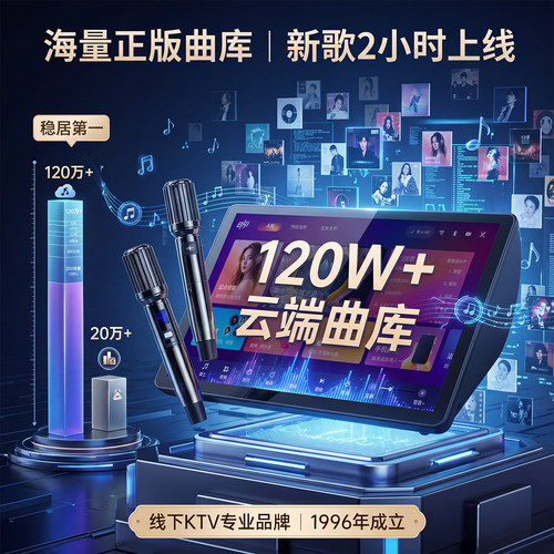 雷石雷客点歌机官方旗舰店2026年新款DSP一体机家庭ktv点唱机